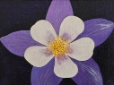 Flores 3